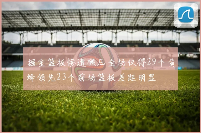 掘金篮板惨遭碾压全场仅得29个黄蜂领先23个前场篮板差距明显