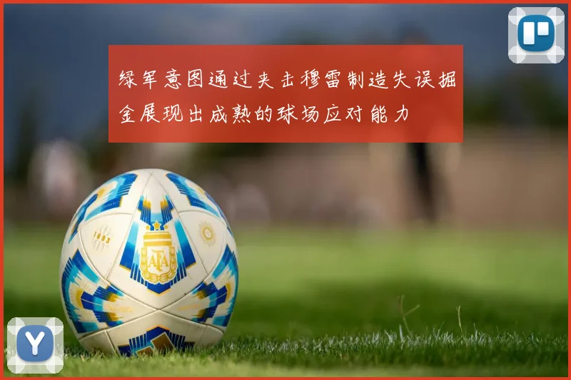 绿军意图通过夹击穆雷制造失误掘金展现出成熟的球场应对能力