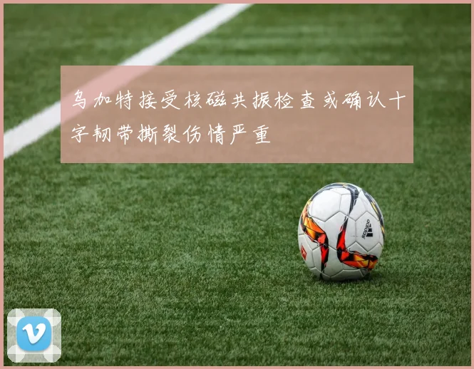 乌加特接受核磁共振检查或确认十字韧带撕裂伤情严重